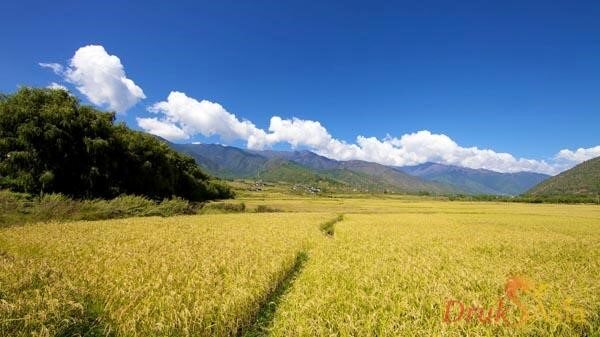 mua dep nhat bhutan 3