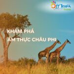Top 12+ món ăn hấp dẫn trong ẩm thực Châu Phi