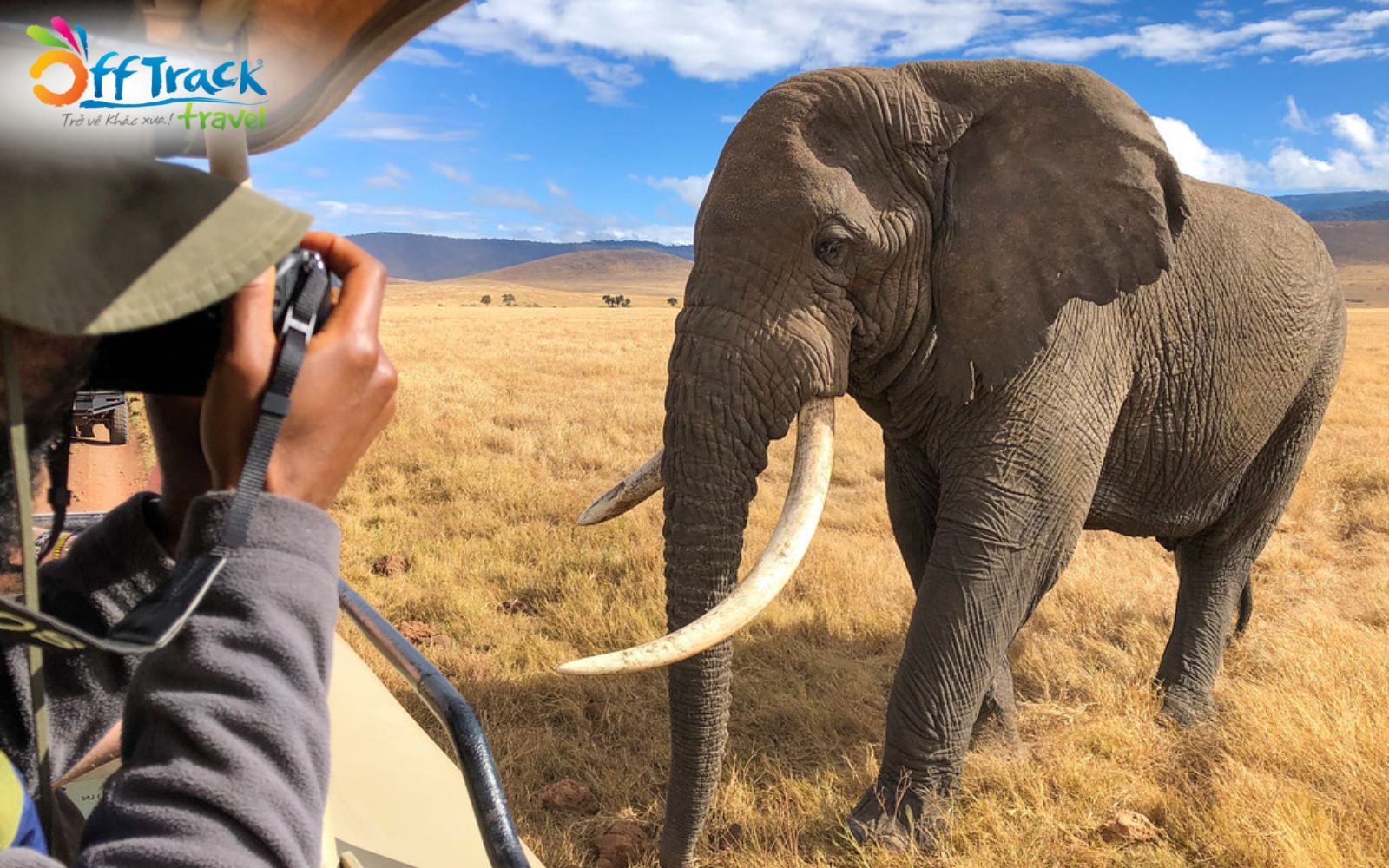 Mẹo du lịch Safari Châu Phi an toàn là không tùy tiện cho động vật ăn Mẹo du lịch Safari Châu Phi an toàn là không tùy tiện cho động vật ăn