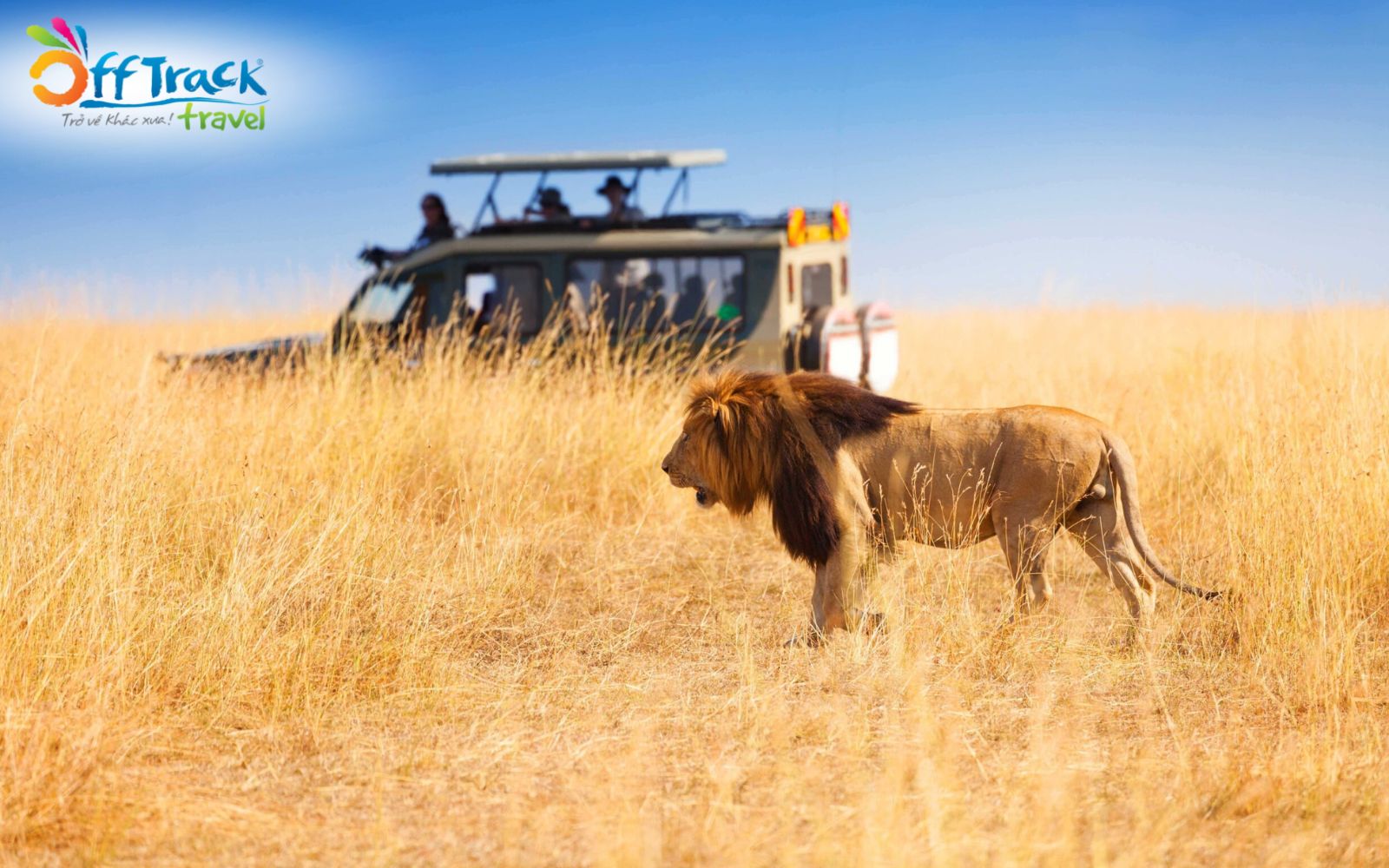 Kinh nghiệm đi Safari Châu Phi là không tạo âm thanh gây chú ý Kinh nghiệm đi Safari Châu Phi là không tạo âm thanh gây chú ý