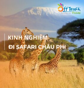 Tổng hợp kinh nghiệm đi safari châu Phi chi tiết nhất