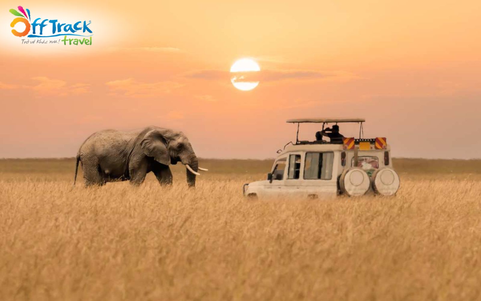 Ở trong xe để đảm bảo an toàn khi khám phá safari Ở trong xe để đảm bảo an toàn khi khám phá safari