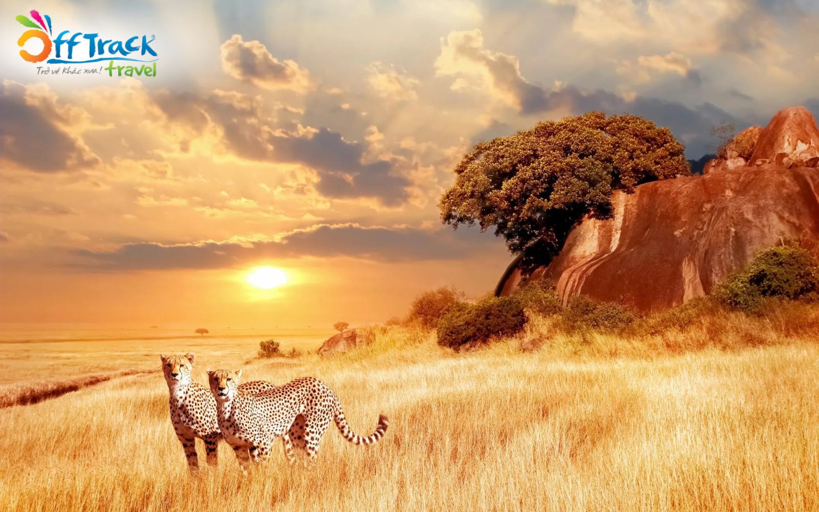 Thời điểm lý tưởng nhất để trải nghiệm đi Safari Châu Phi là vào mùa khô từ tháng 6 đến tháng 10 Thời điểm lý tưởng nhất để trải nghiệm đi Safari Châu Phi là vào mùa khô từ tháng 6 đến tháng 10