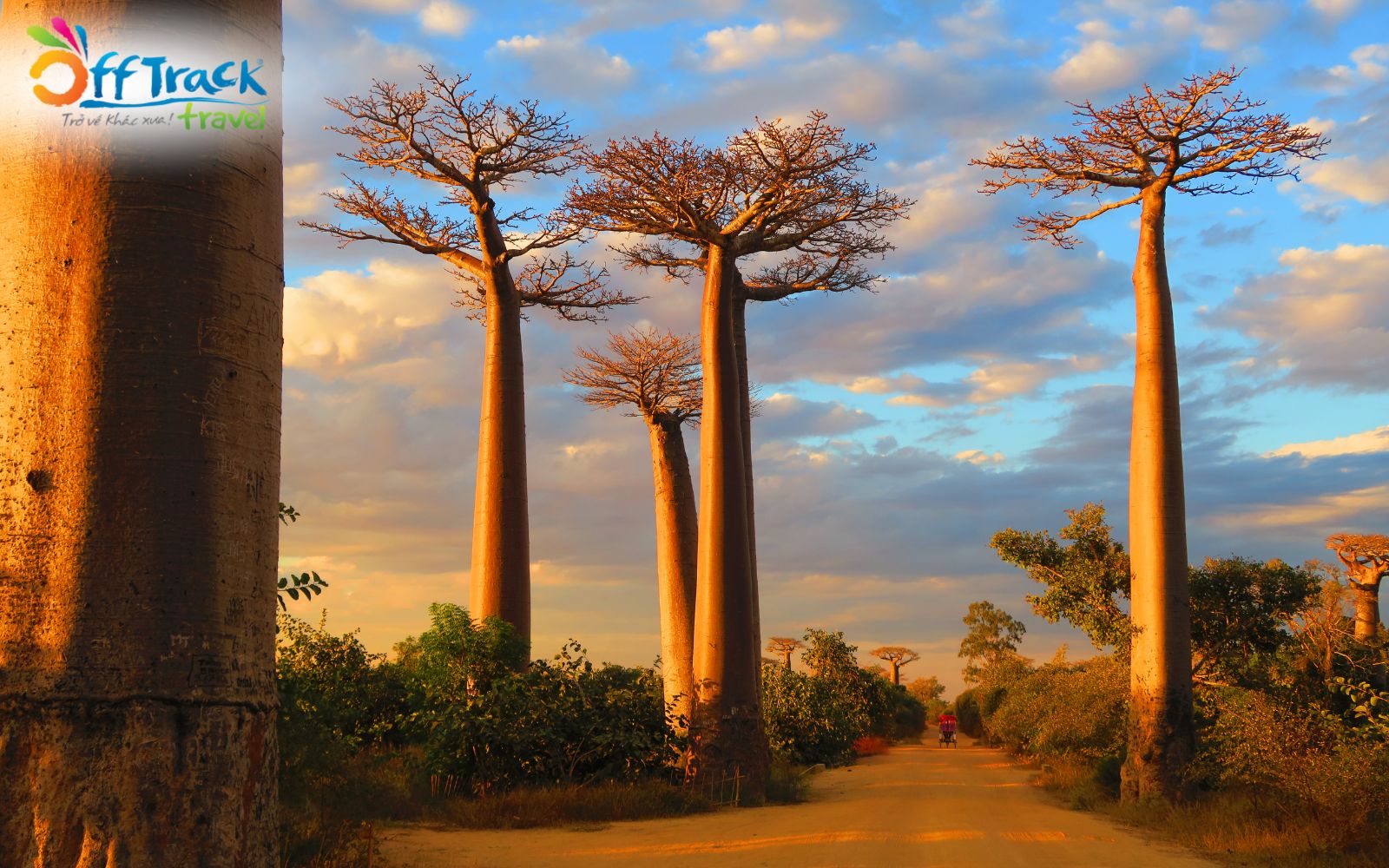 Điểm danh những điều thú vị trong bản sắc văn hóa Madagascar