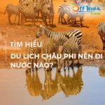Du lịch châu Phi nên đi nước nào? 7 Nước an toàn khi đến châu Phi