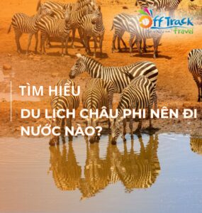 Du lịch châu Phi nên đi nước nào? 7 Nước an toàn khi đến châu Phi
