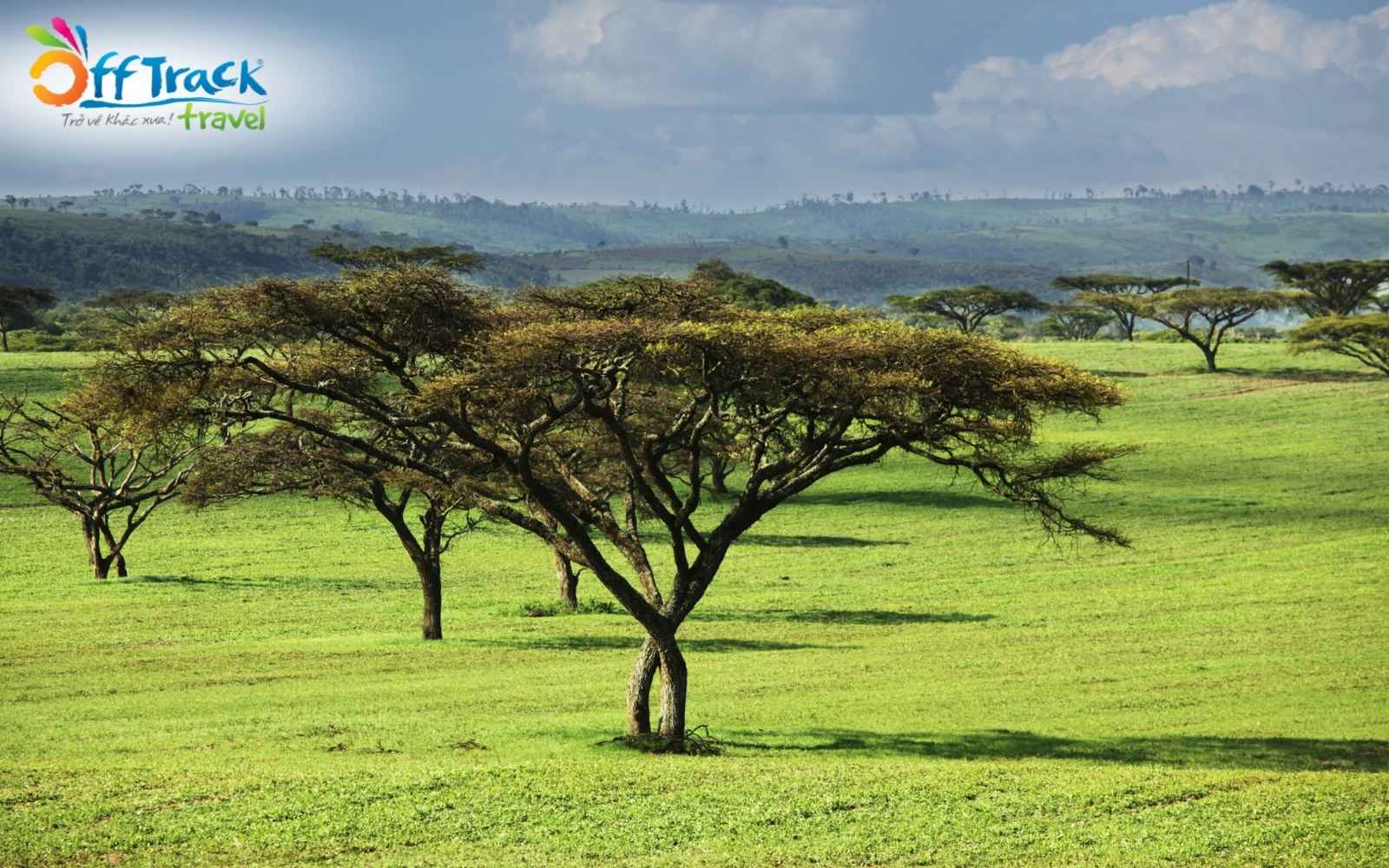 Ethiopia là quốc gia ở châu phi an toàn Ethiopia là quốc gia ở châu phi an toàn