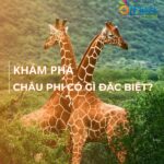 Những sự thật thú vị và đặc biệt tại Châu Phi