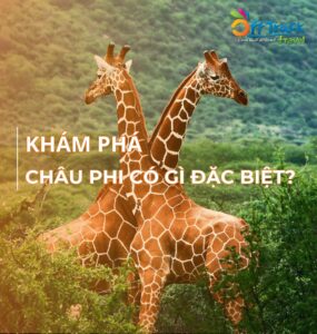 Những sự thật thú vị và đặc biệt tại Châu Phi