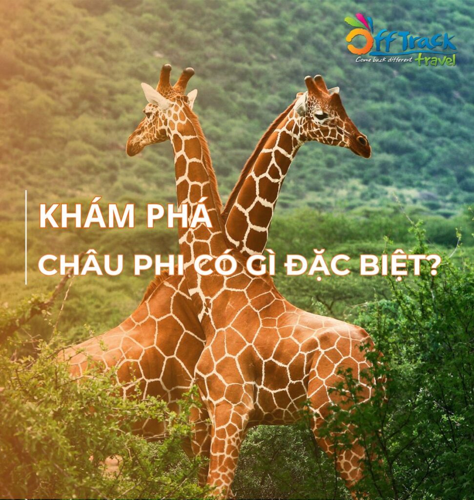 Những sự thật thú vị và đặc biệt tại Châu Phi