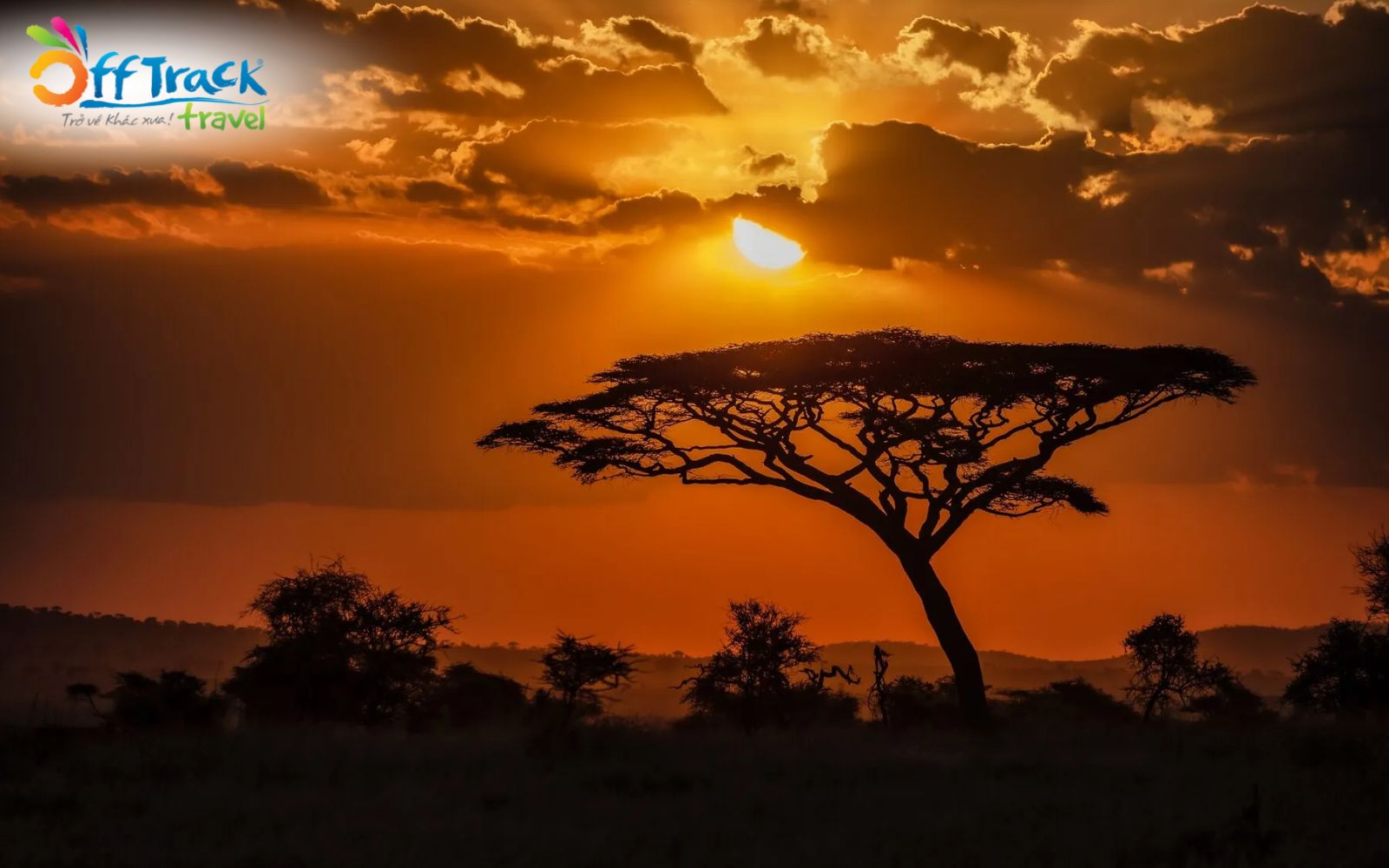 Kenya là câu trả lời cho du lịch châu phi nên đi nước nào Kenya là câu trả lời cho du lịch châu phi nên đi nước nào