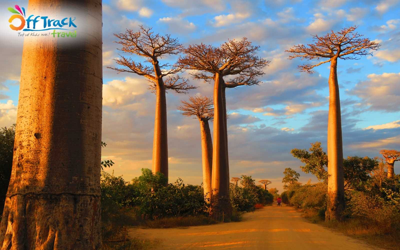 du lịch châu phi nên đi nước nào? Câu trả lời là Madagascar du lịch châu phi nên đi nước nào? Câu trả lời là Madagascar