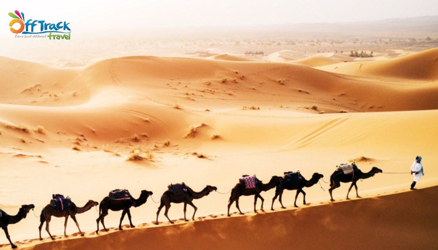 châu phi có gì thú vị - Sa mạc Sahara rộng hơn cả nước Mỹ